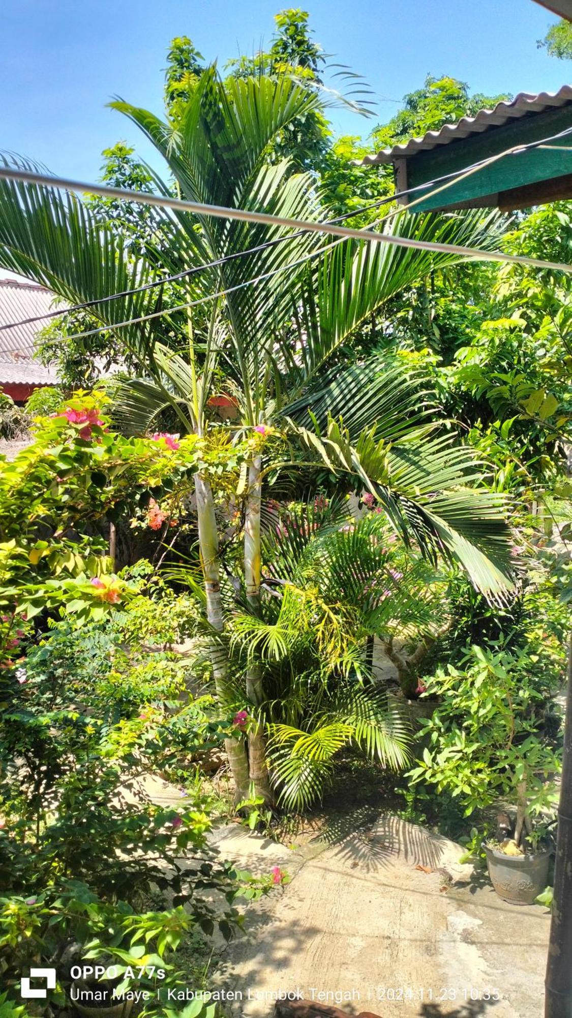 Nadil Homestay Kuta  Exterior foto